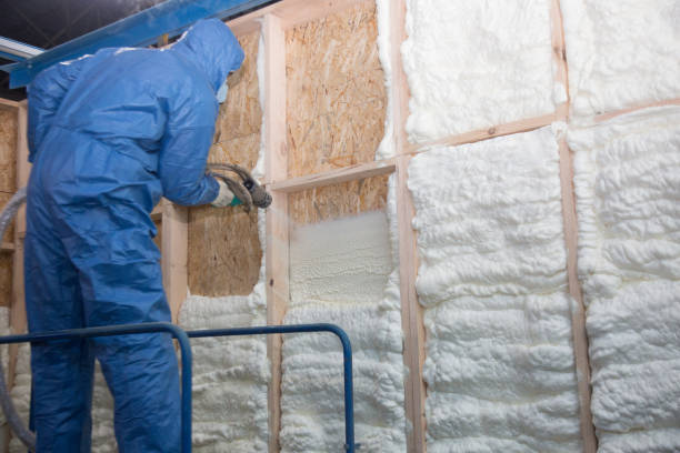 Best Crawl Space Insulation  in USA